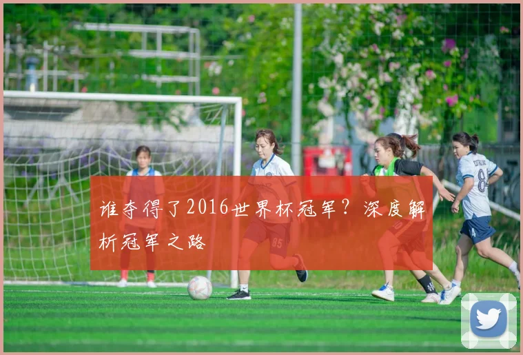 谁夺得了2016世界杯冠军？深度解析冠军之路