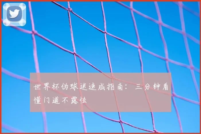 世界杯伪球迷速成指南:三分钟看懂门道不露怯
