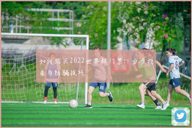 如何购买2022世界杯门票:分步指南与防骗技巧