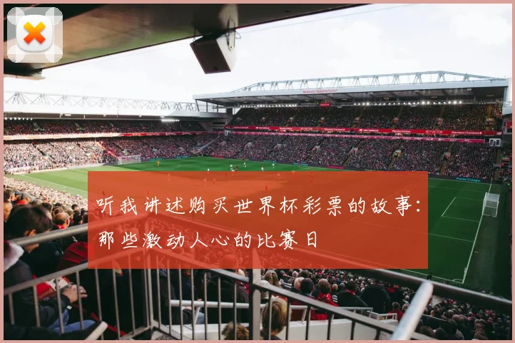 听我讲述购买世界杯彩票的故事：那些激动人心的比赛日