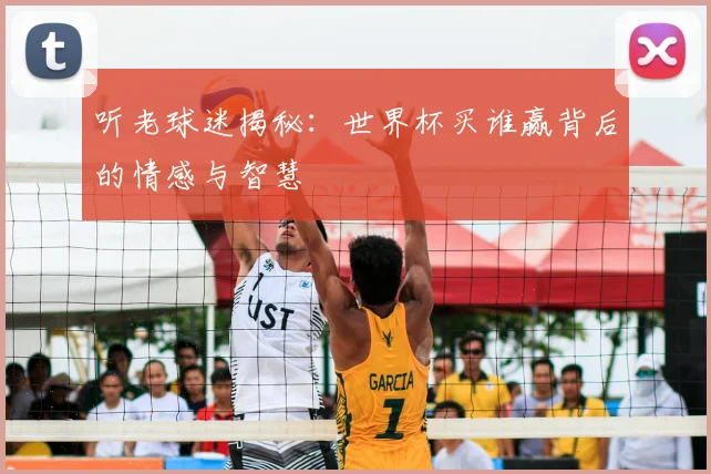 听老球迷揭秘：世界杯买谁赢背后的情感与智慧