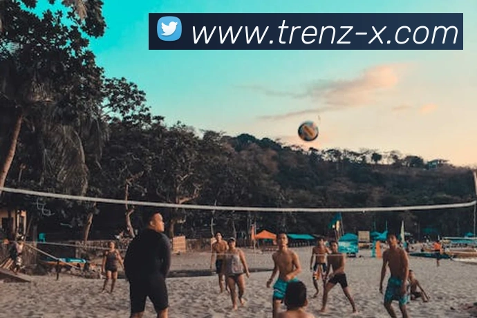 八戒体育app网站平台生态图